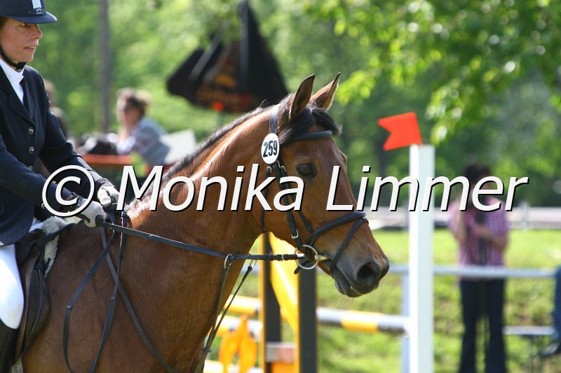 005M4493_Ravenna_Stil A.JPG